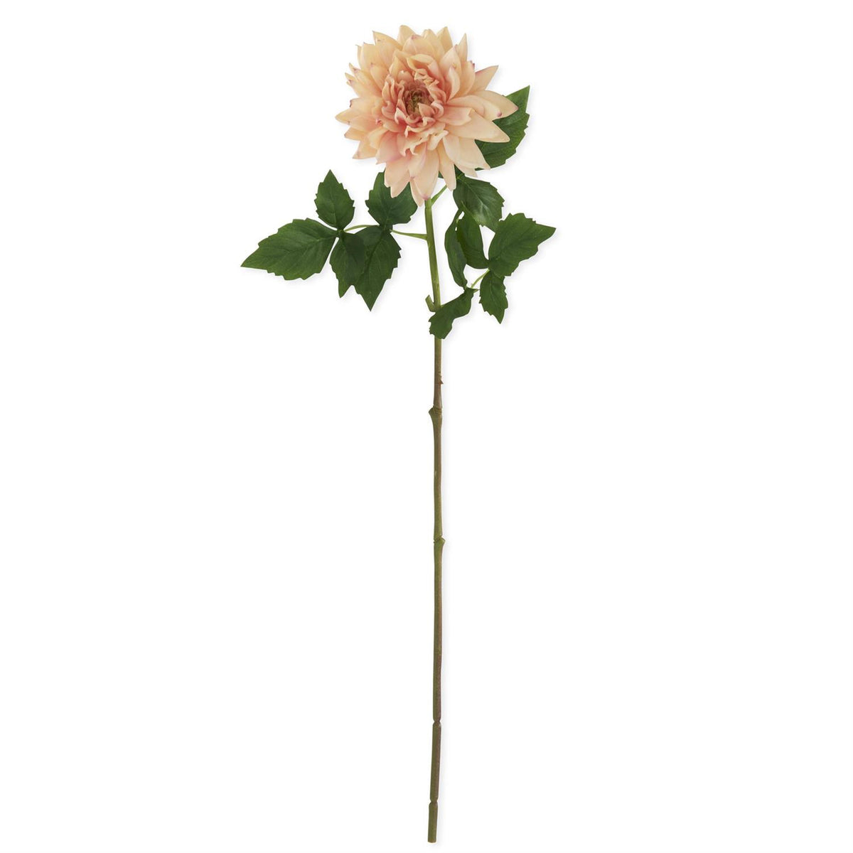 Real Touch Dahlia Stem