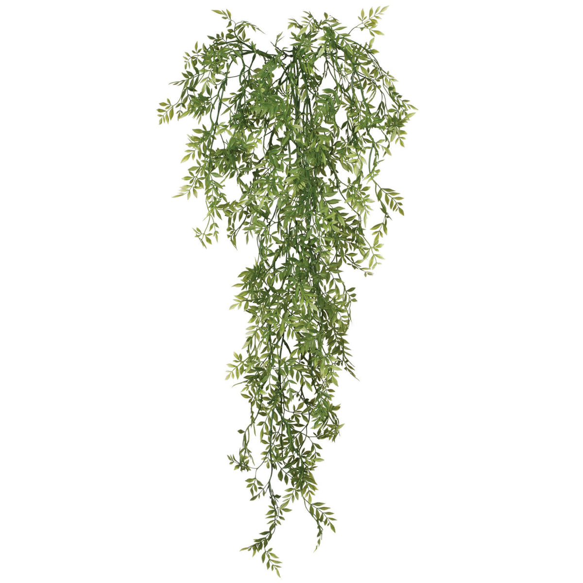 Wisteria Mini Vine