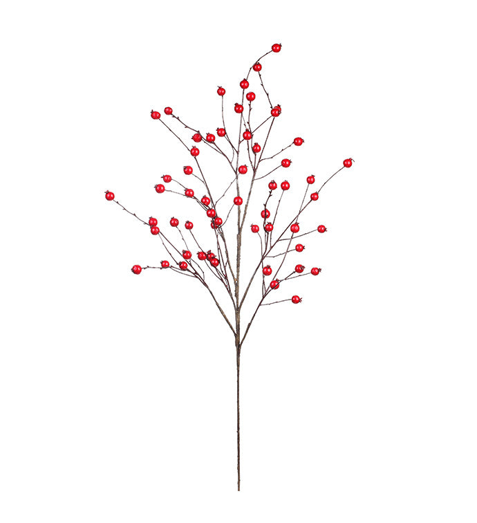 Red Berry Branch