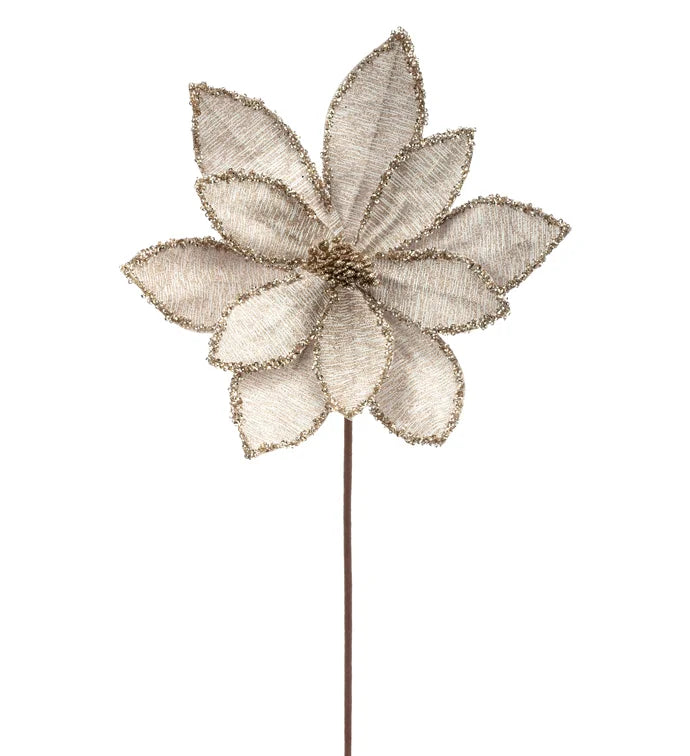 Champagne Glitter Edge Poinsettia