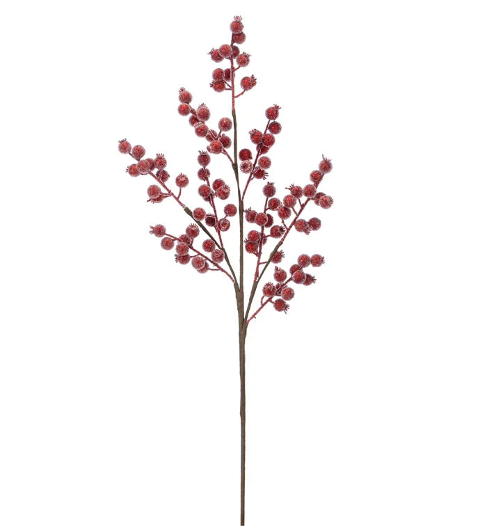 Red Iced Berry Spray