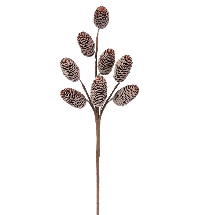 Pine Cone Spray