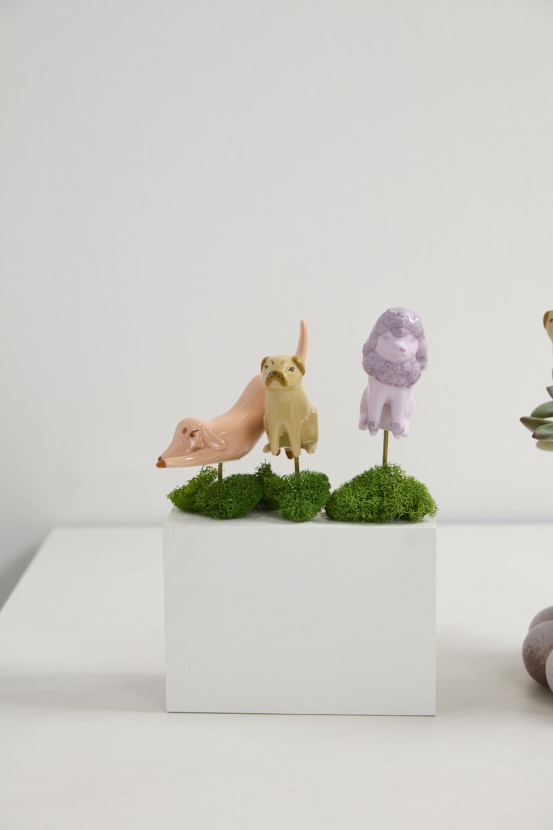 Playful Pups Plant Sticks