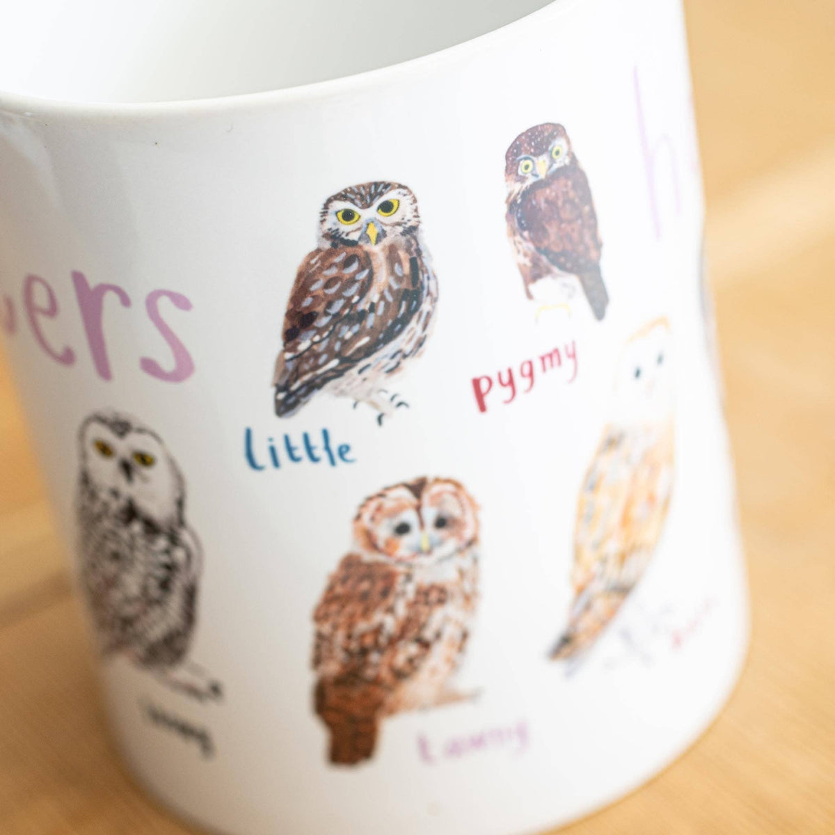 Hooters Ceramic Bird Pun Mug