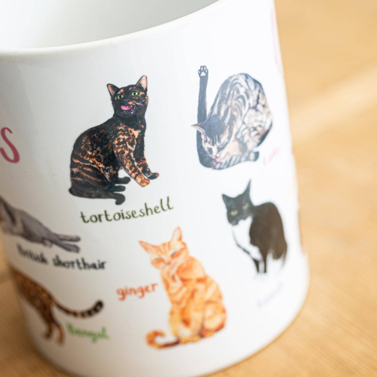 Lickers Ceramic Cat Pun Mug