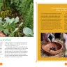 Plant Partners - Science Based Companion Strategies for the Vegetable Garden