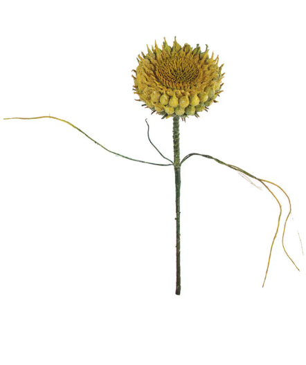 Sunflower Botanica #2771