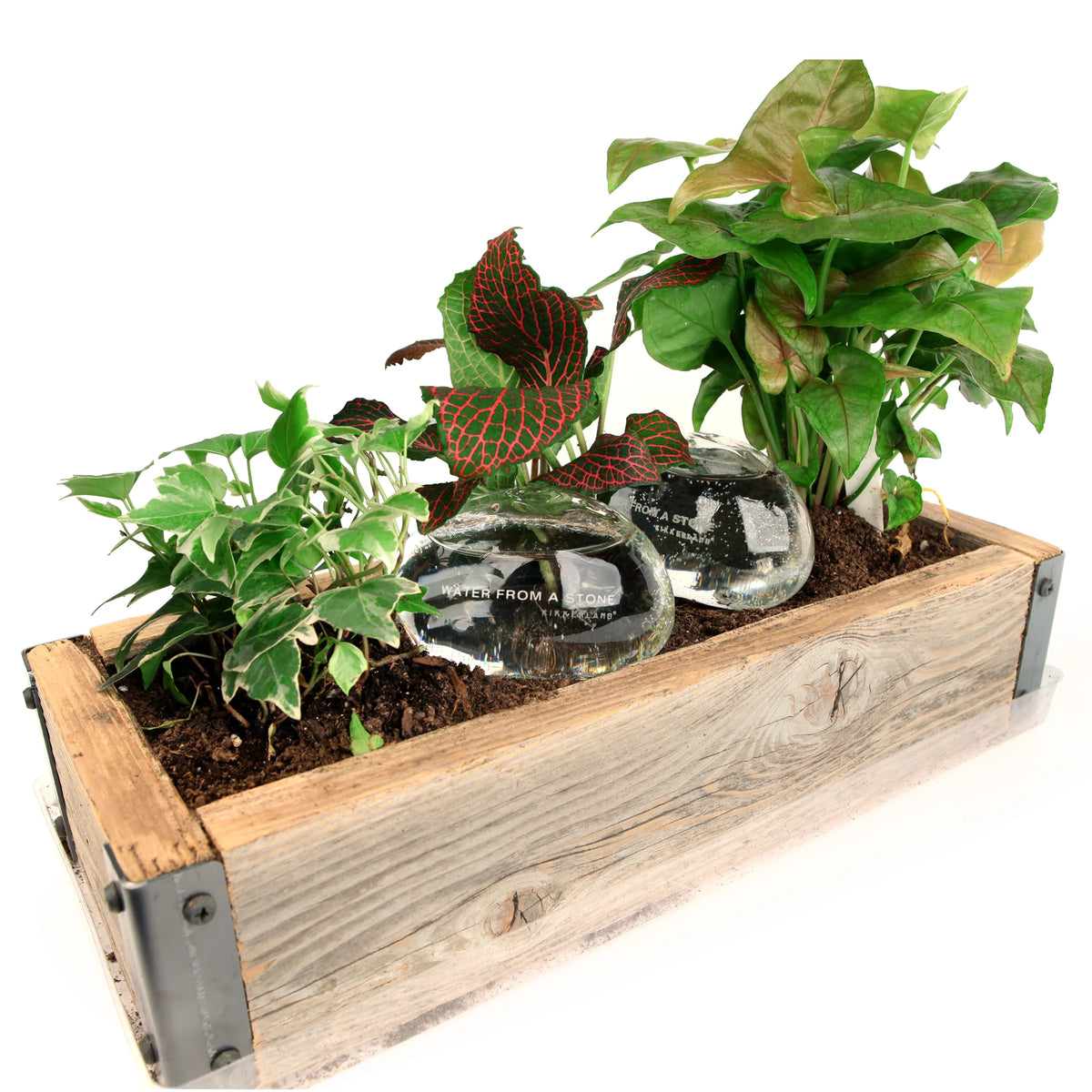 Water Rocks Set of 2