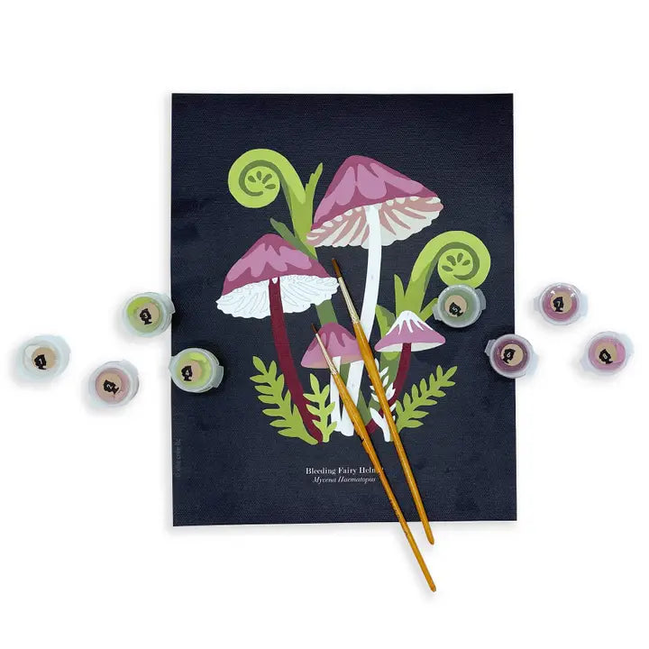 Bleeding Fairy Helmet Mushrooms Paint by Number Kit