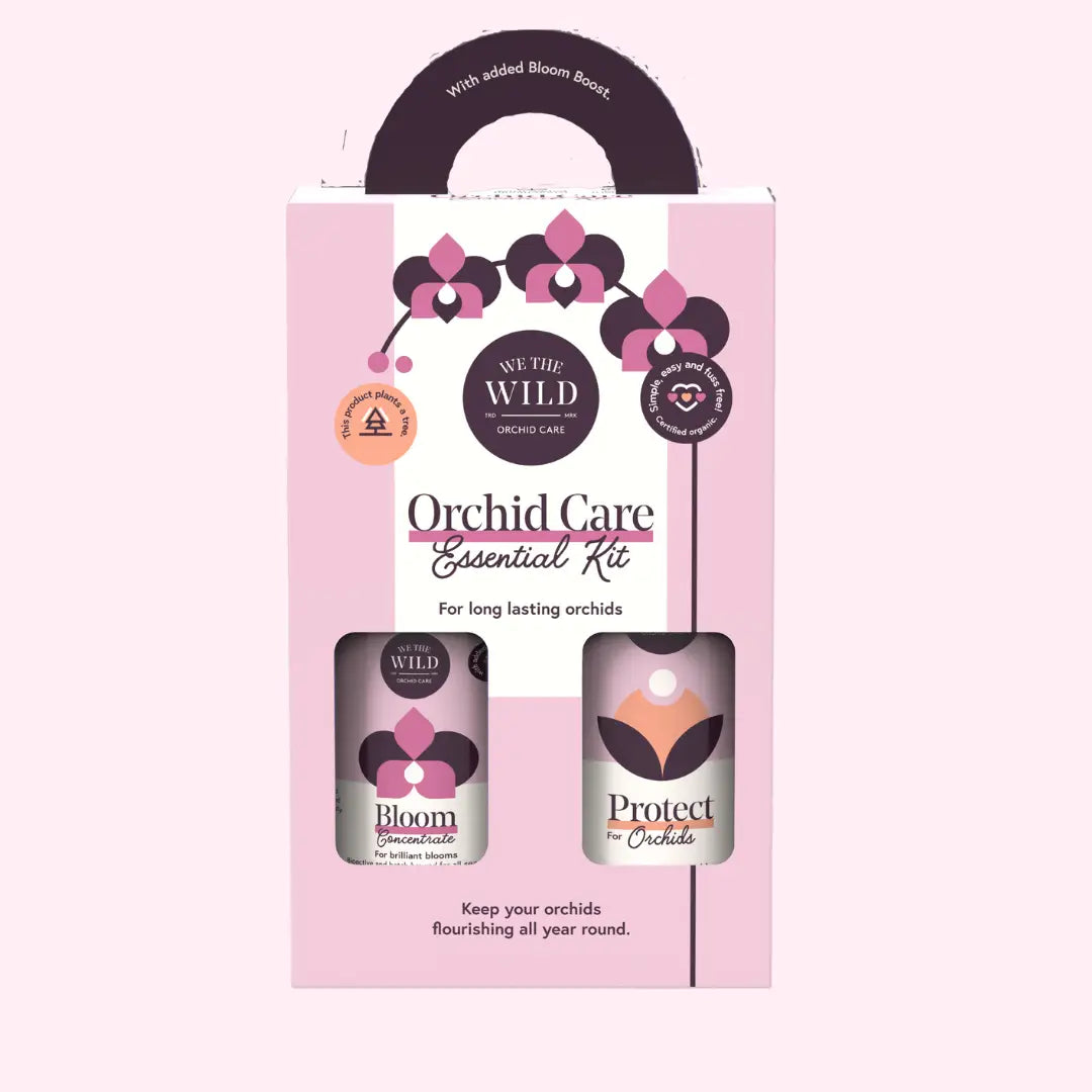 Orchid Essential