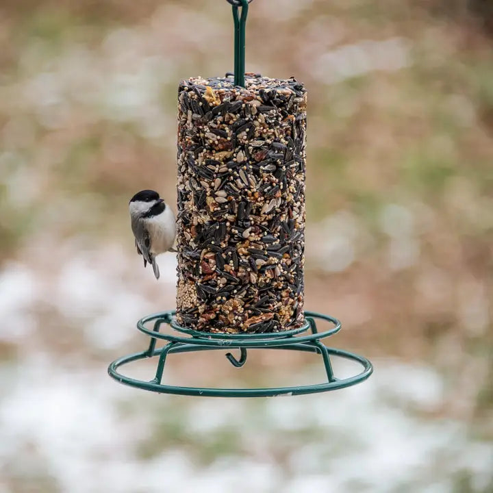 WildBird Feast Cylinder