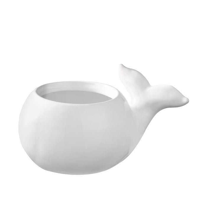 White Whale Planter
