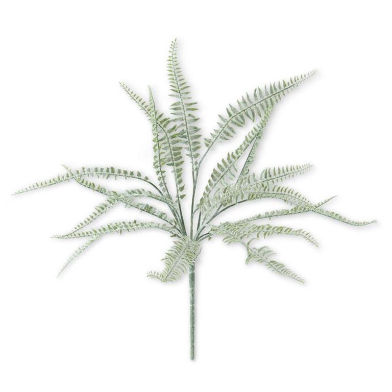 Powdered Fern Bush