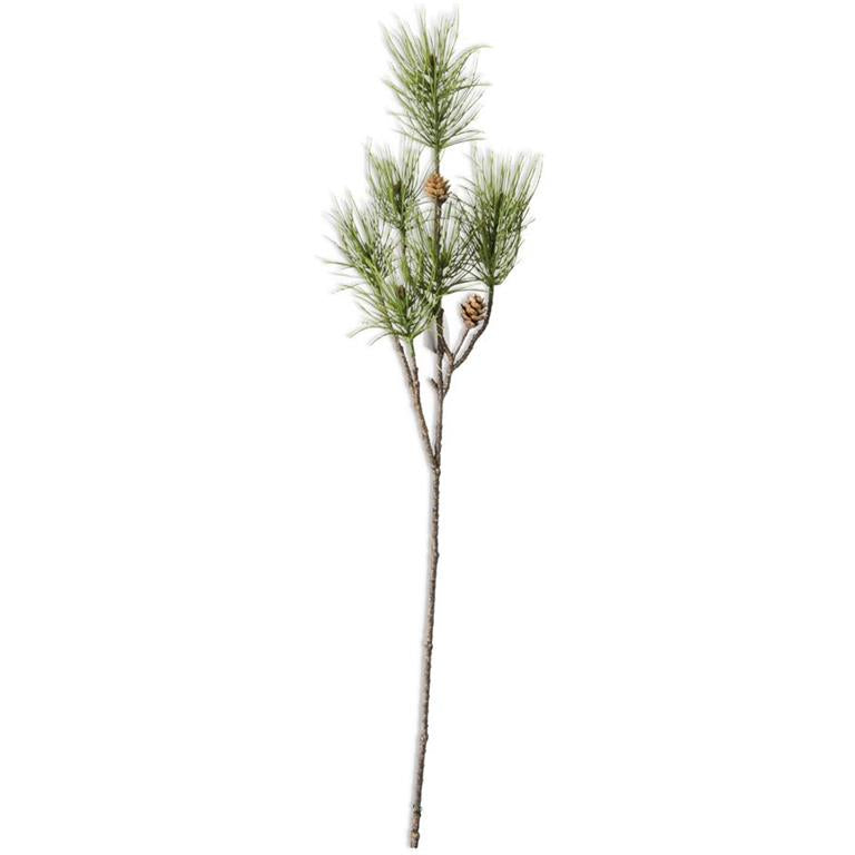 Long Needle Pine Stem w/ Pinecones