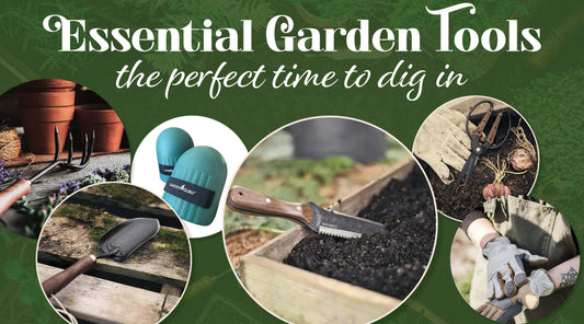 The Perfect Time to Dig In: Essential Garden Tools for Fall
