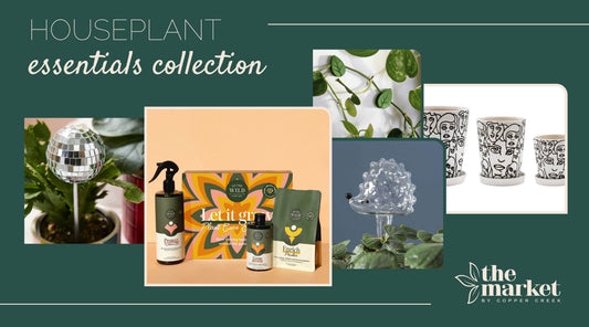 Houseplant Essentials Collection