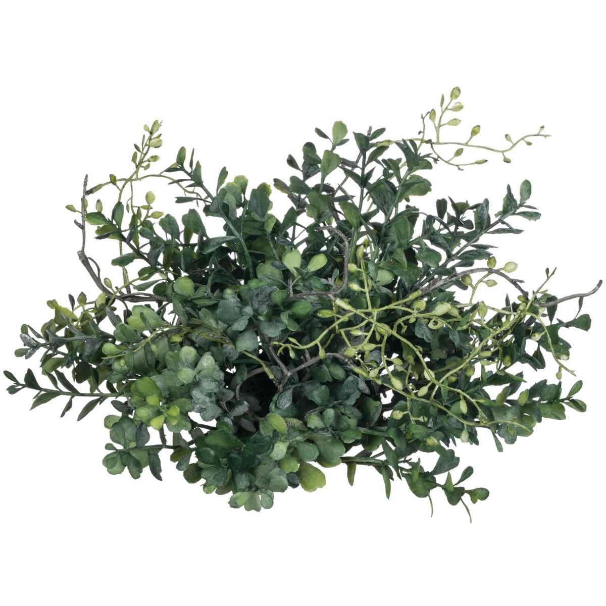 Blue Boxwood Orb