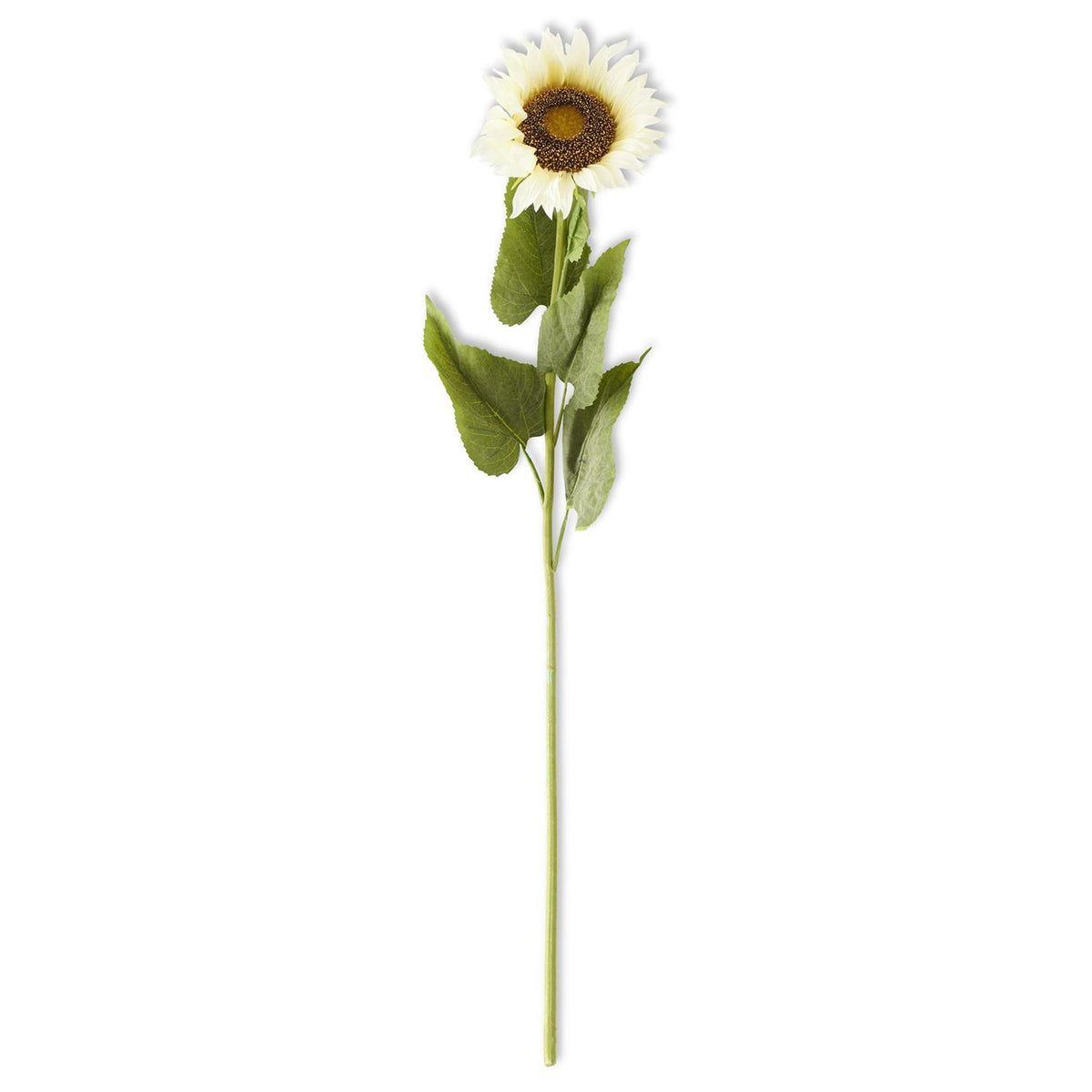 Large Cream Sunflower Stem