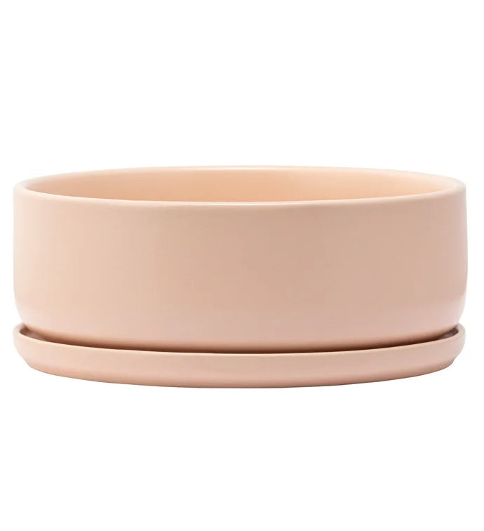 Pink Dish Garden with Tray