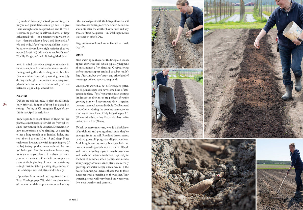 Floret Farm's Discovering Dahlias
