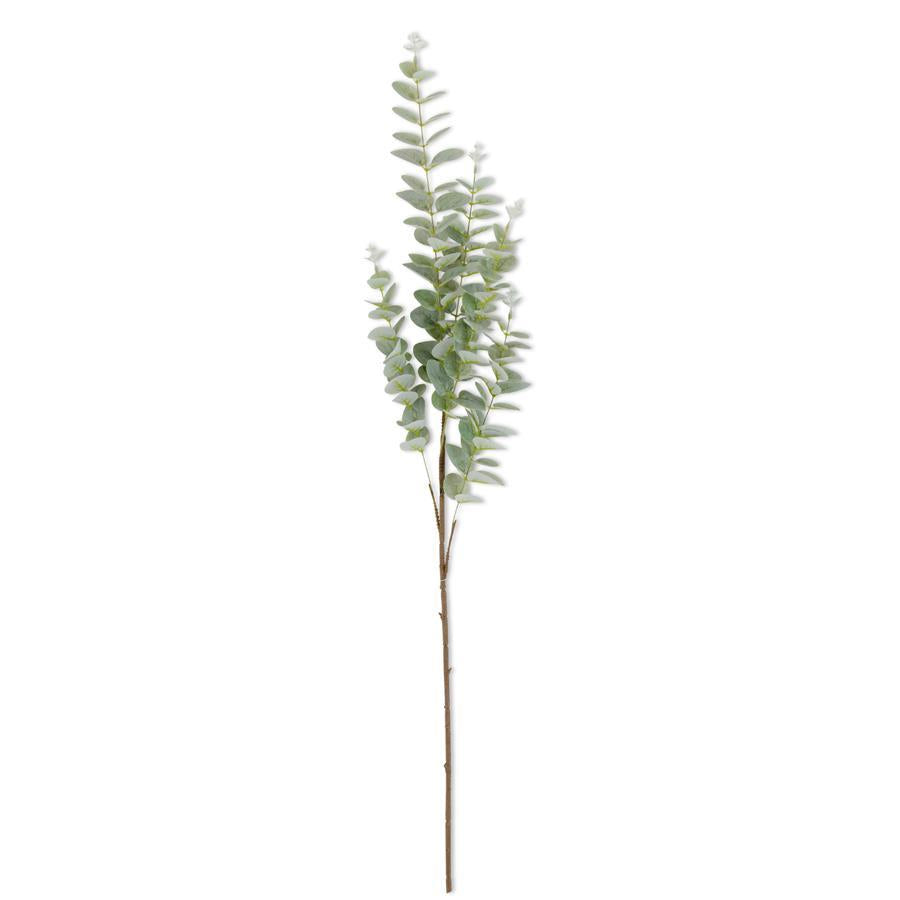 Light Green Gunnii Eucalyptus Stem