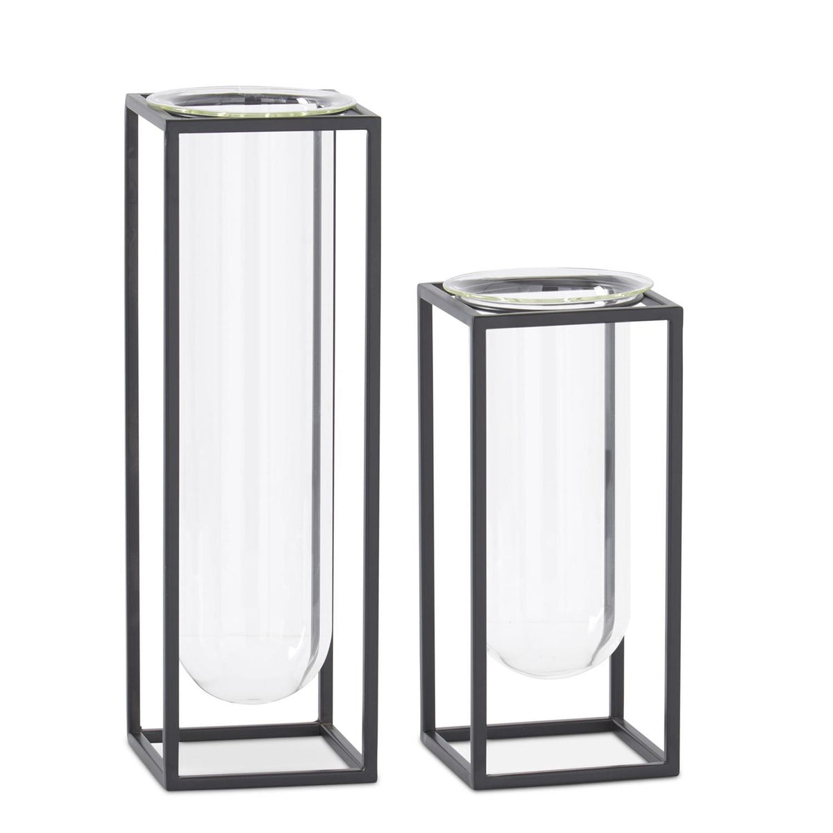 Glass Test Tube Vase in Black Metal
