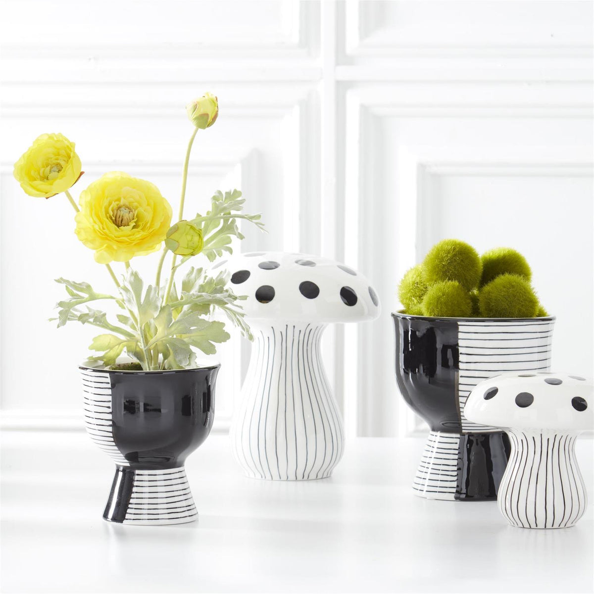 Ranunculus in Clay Pot