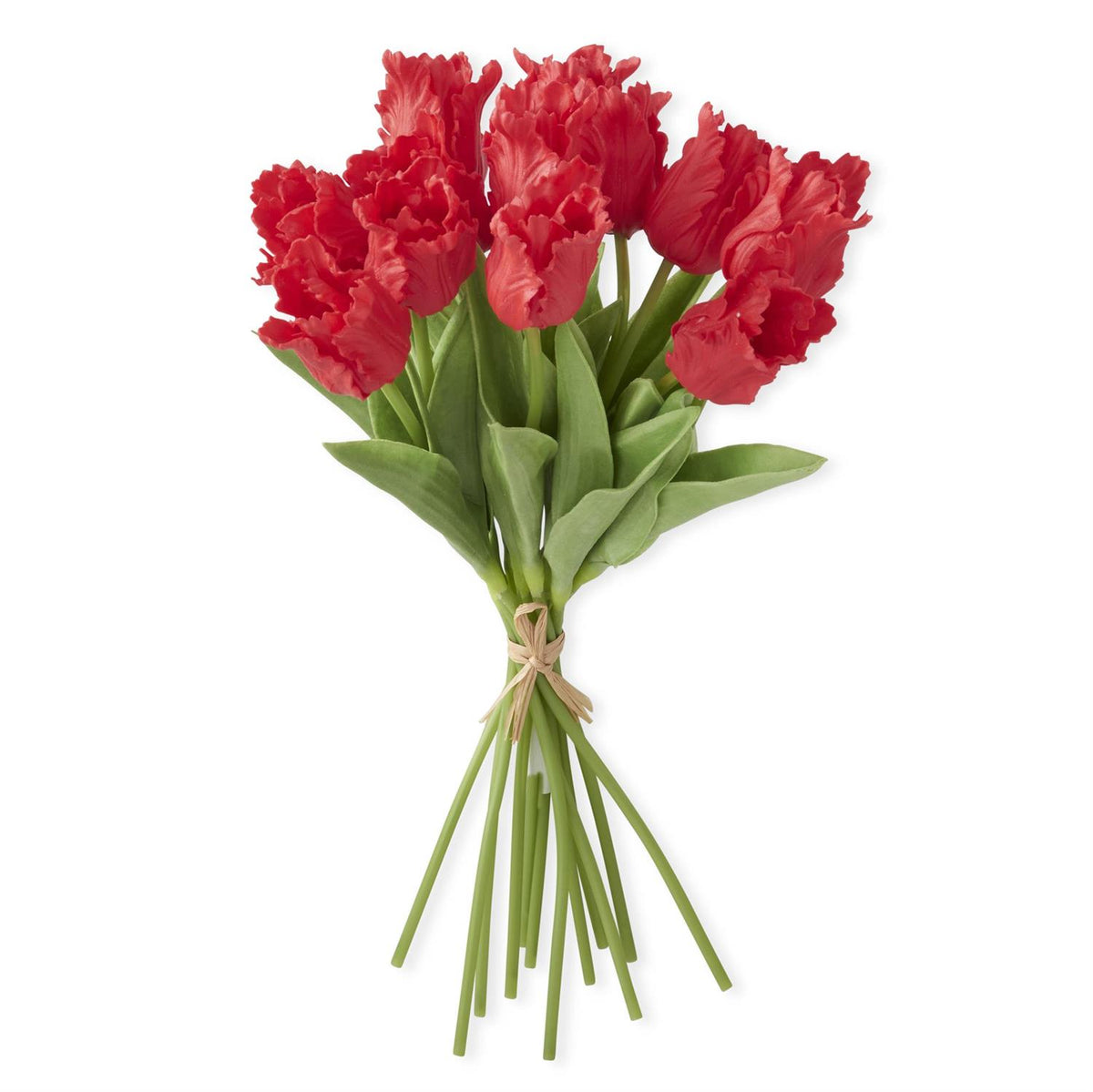 Real Touch Parrot Tulip Bundle