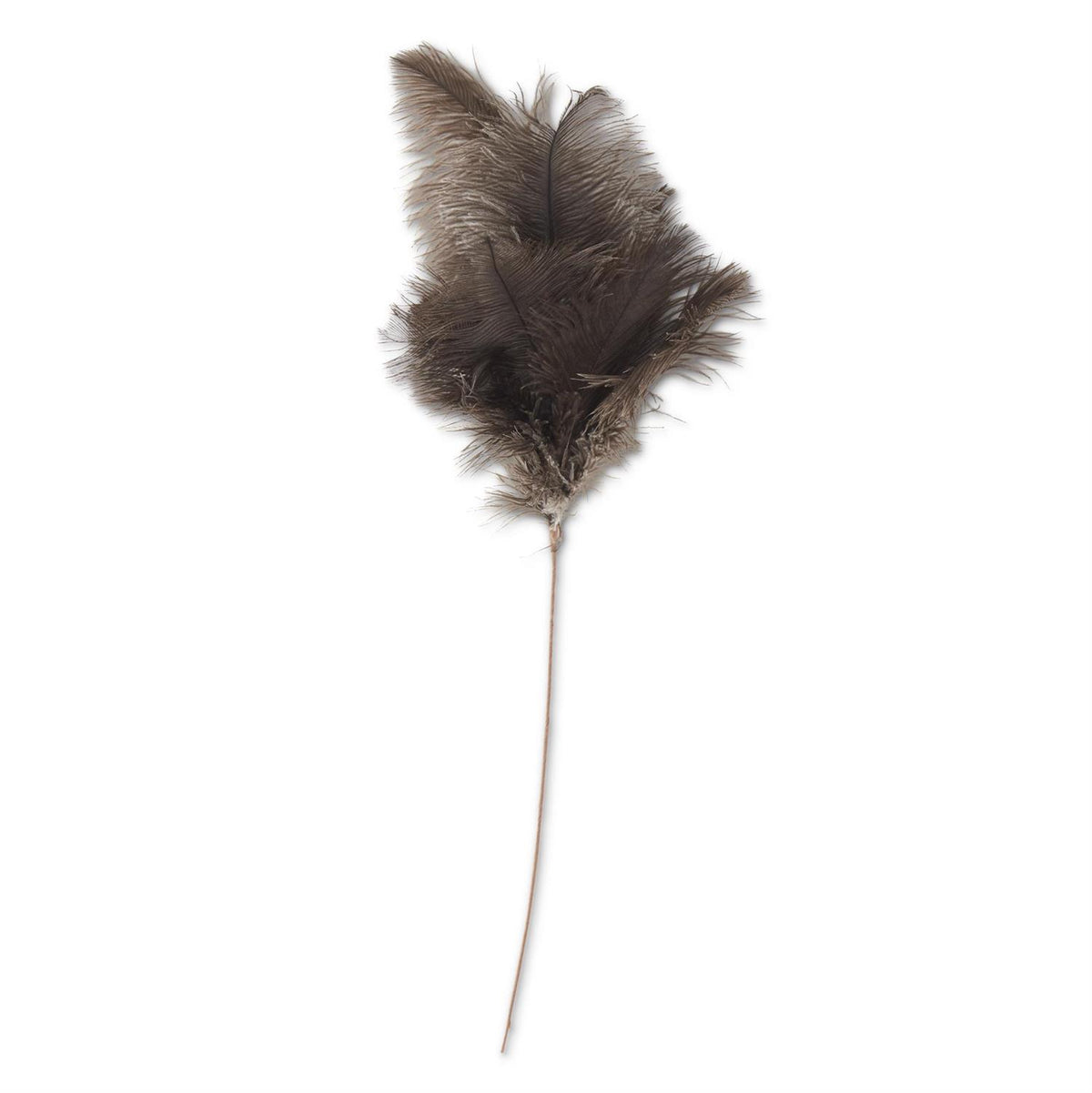 Brown Feather Spray