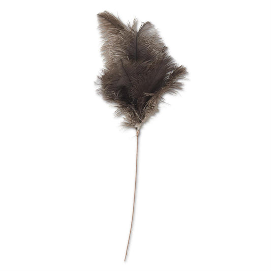 Brown Feather Spray