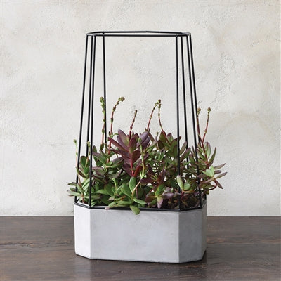 Indio Planter / Wide