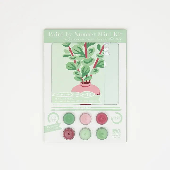 Succulent Stems Mini Paint by Number Kit