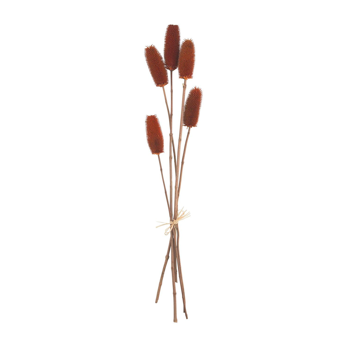 Thistle Stem Bundle