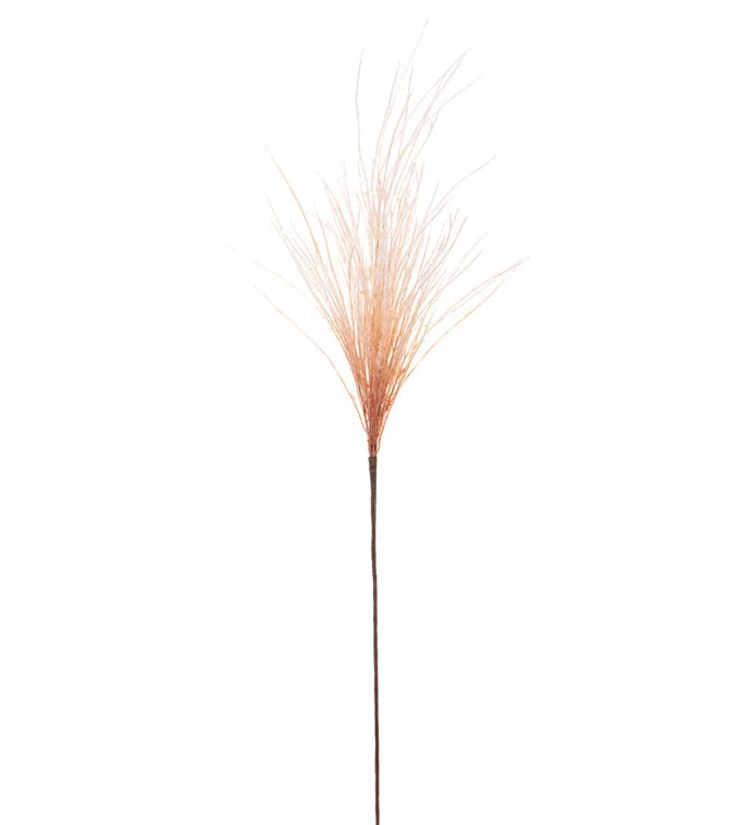 Pampas Grass Stem
