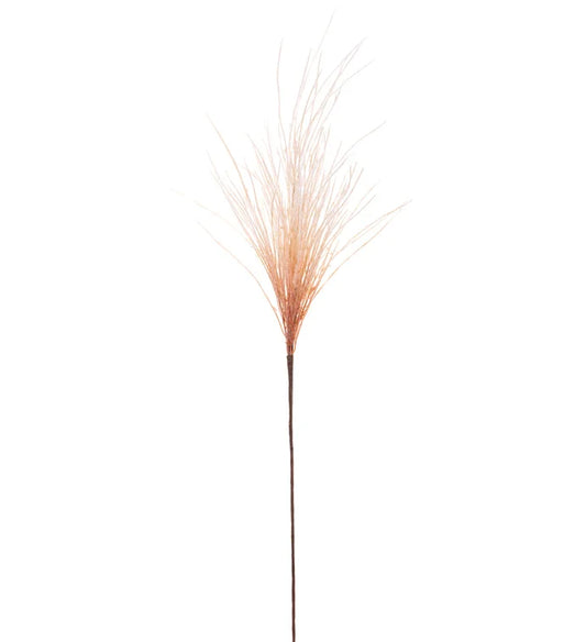 Pampas Grass Stem