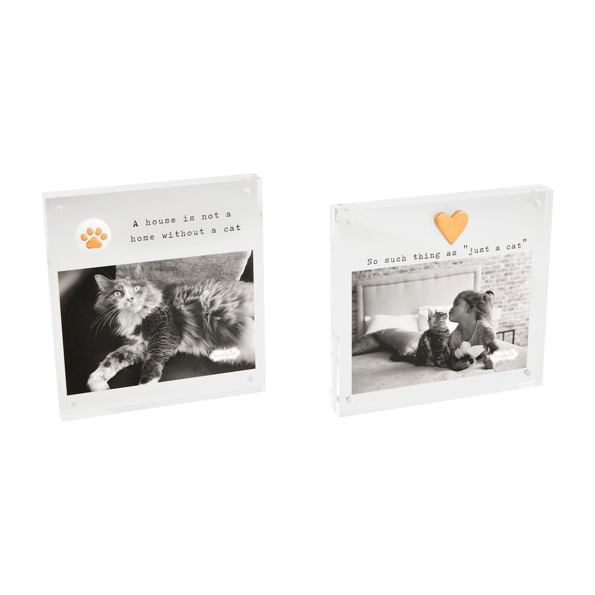Cat Acrylic Frames