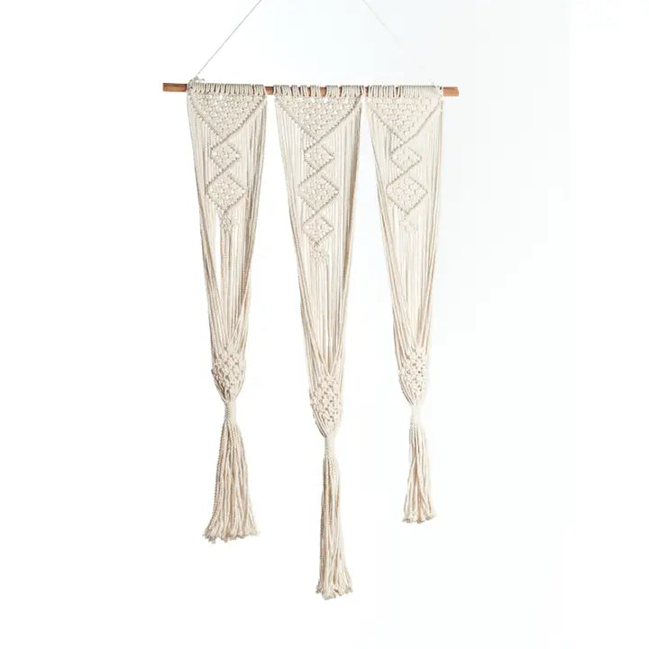 Triple Pot & Wall Hanger