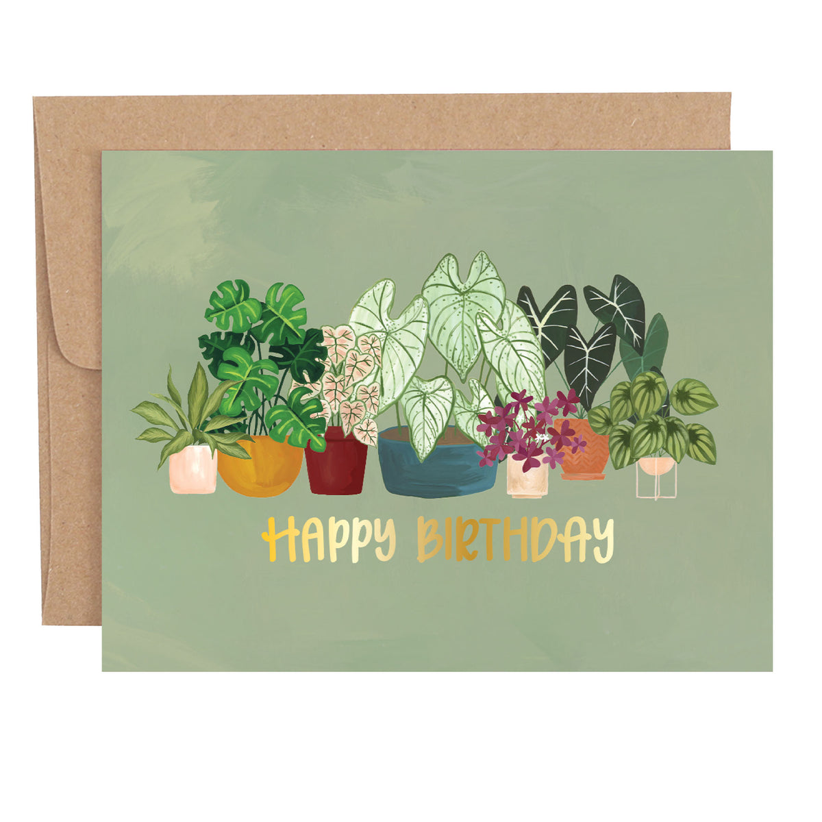 Greenhouse Specialty Greeting Card Box Set