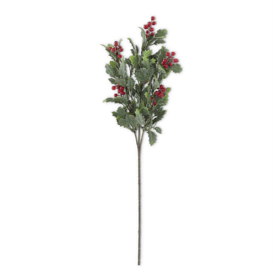 30 Inch Holly Stem