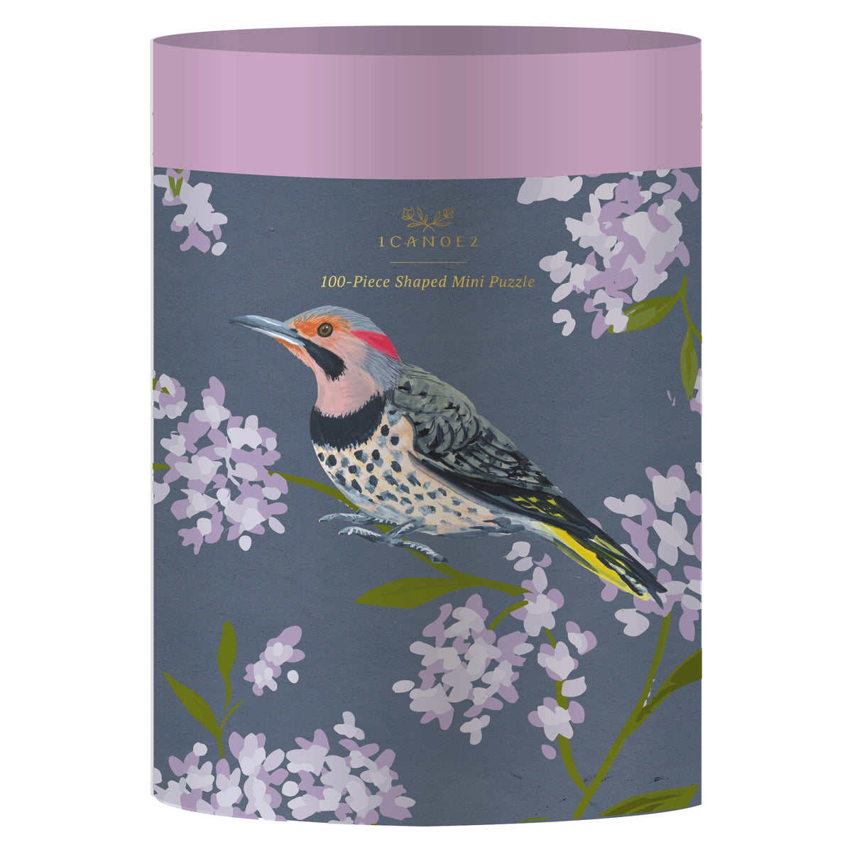 Feathered Friends - 100 Piece Birds Jigsaw Puzzles