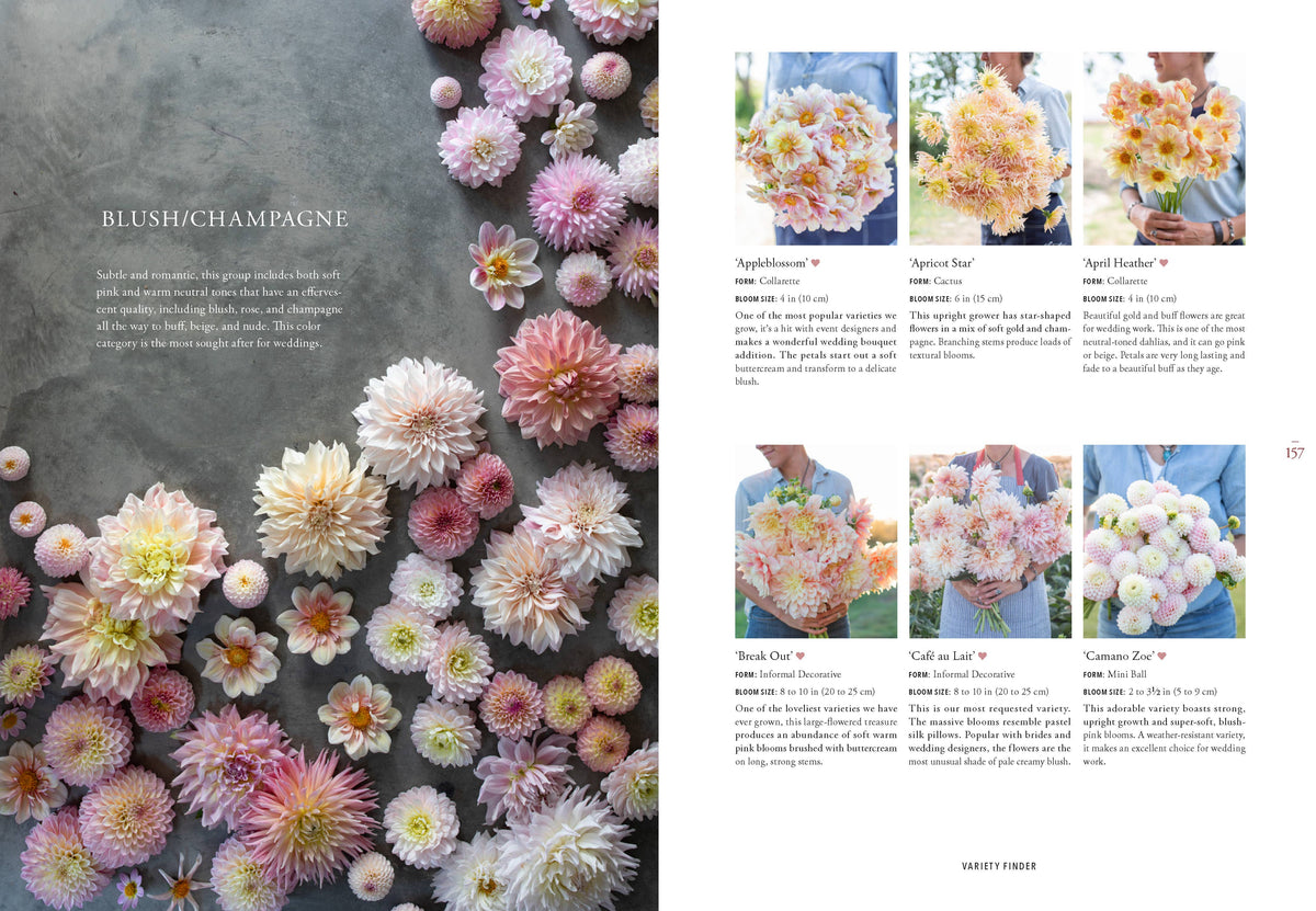 Floret Farm's Discovering Dahlias