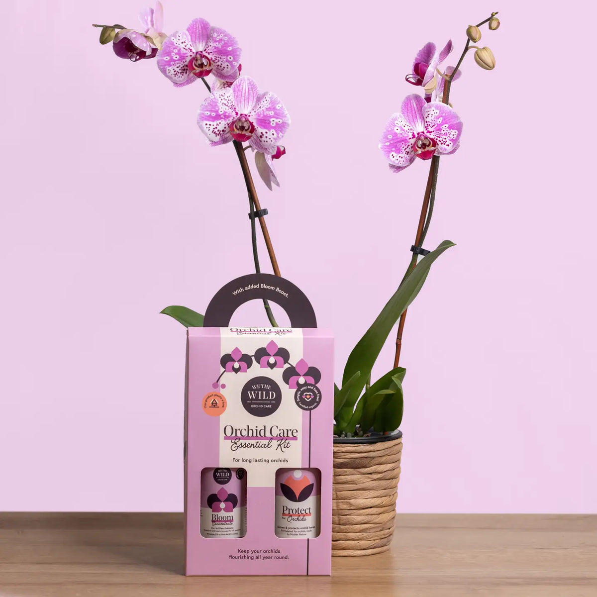Orchid Essential