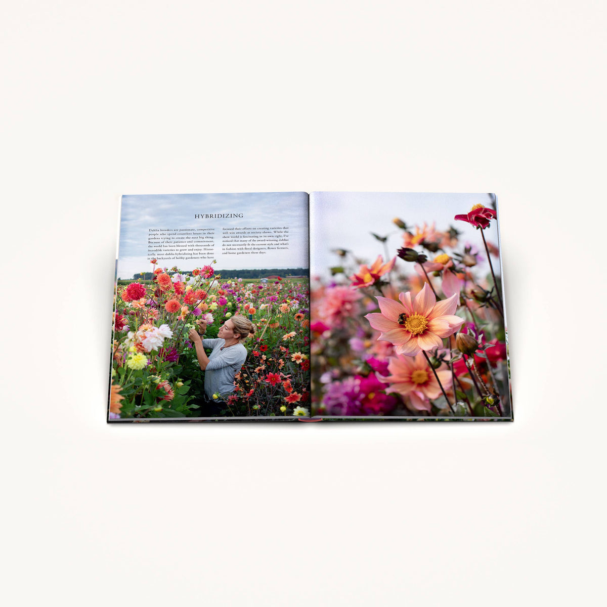 Floret Farm's Discovering Dahlias
