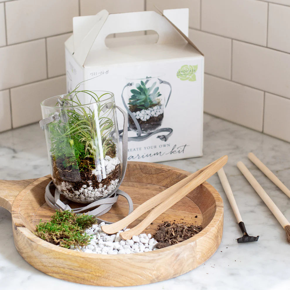 Syndicate Capsule Terrarium Kit