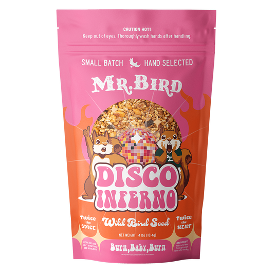 Disco Inferno Bagged Seed Large 4lb