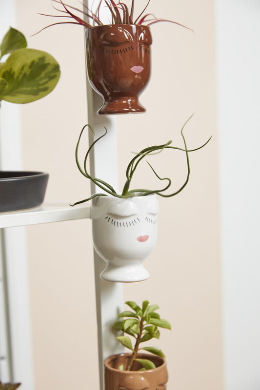 Celfie Magnetic Face Pot