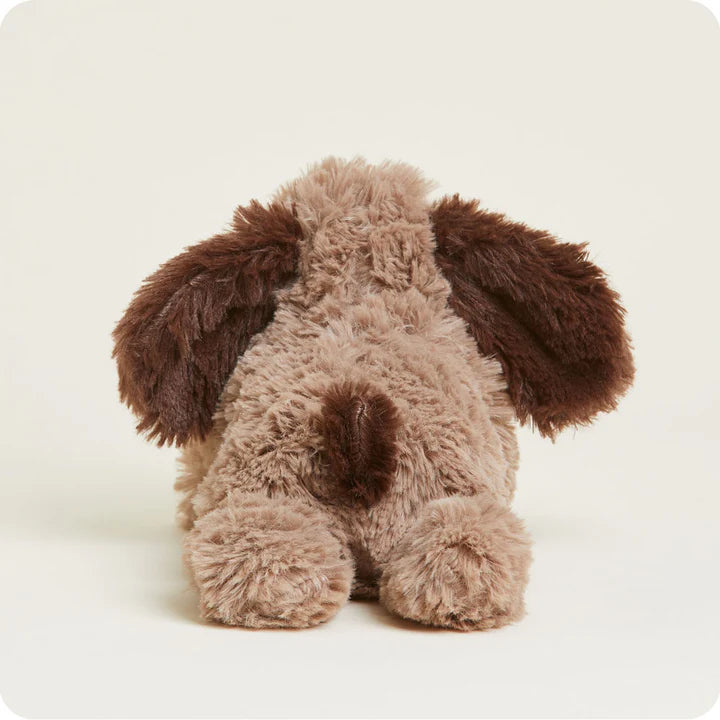 Brown Dog Warmies® Junior