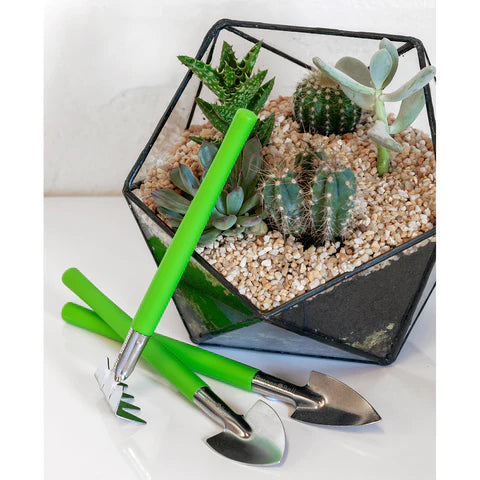 Houseplant & Terrarium Tool Set