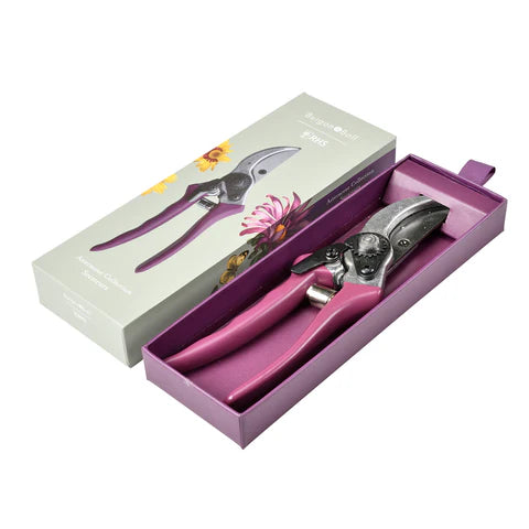 Boxed Asteraceae Secateur