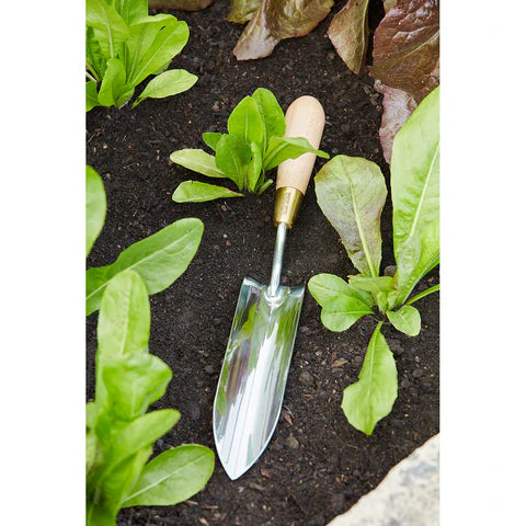 Sophie Conran Long Thin Trowel in Box